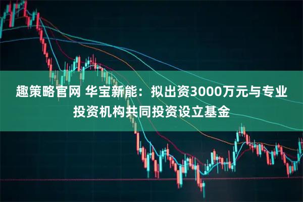 趣策略官网 华宝新能：拟出资3000万元与专业投资机构共同投资设立基金