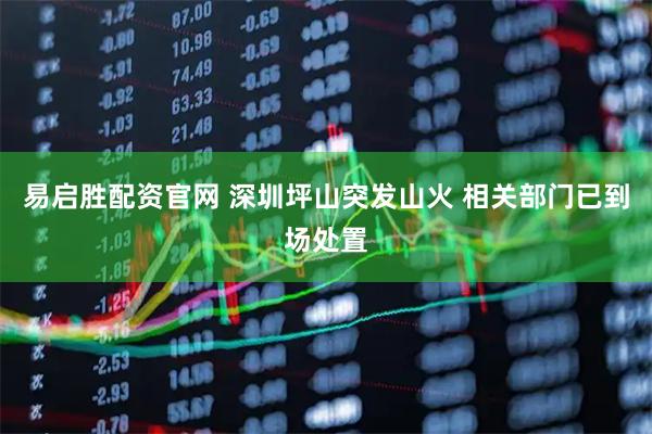 易启胜配资官网 深圳坪山突发山火 相关部门已到场处置