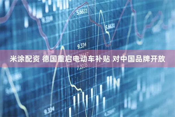 米涂配资 德国重启电动车补贴 对中国品牌开放
